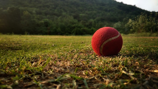 červený kriketový míček